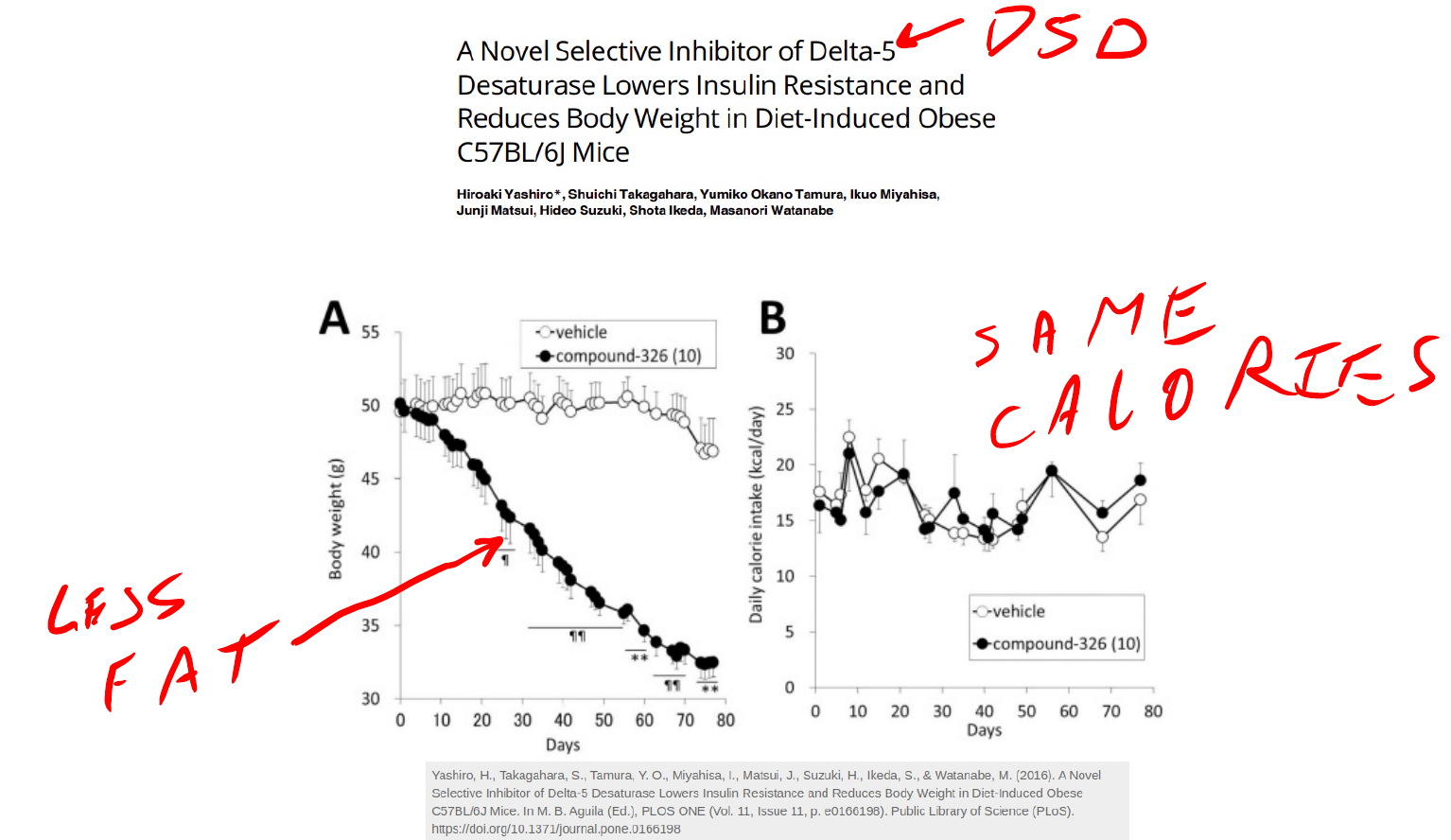 How Olive Oil Makes You Fat Fire In A Bottle